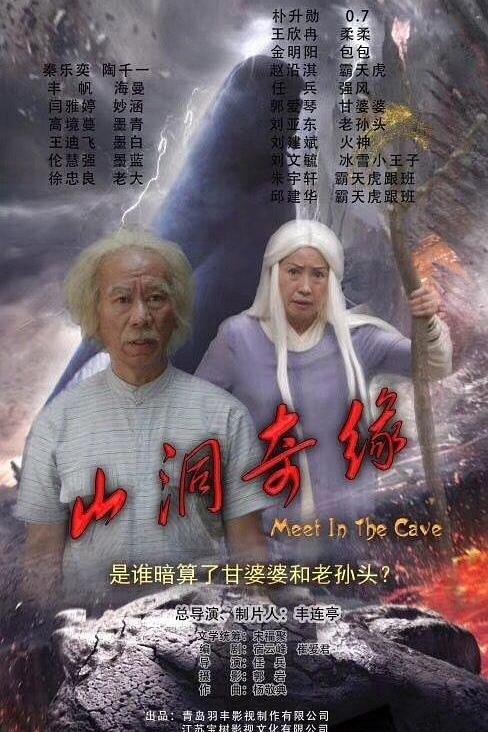 山洞奇缘 封面