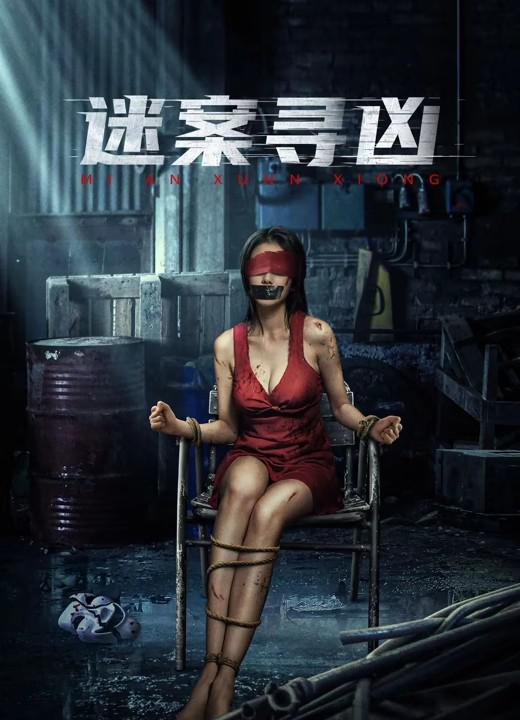 迷案寻凶 封面