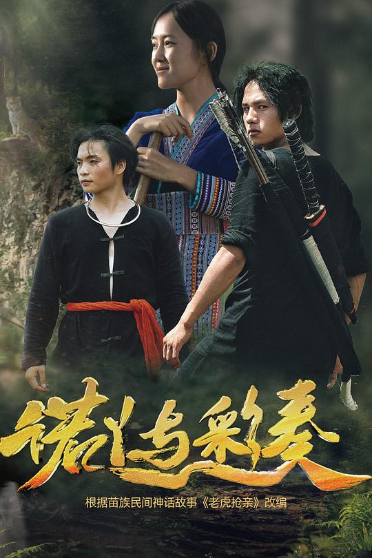 诺丫与彩奏 封面