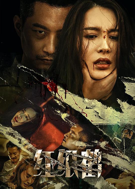 红纸鹤 封面