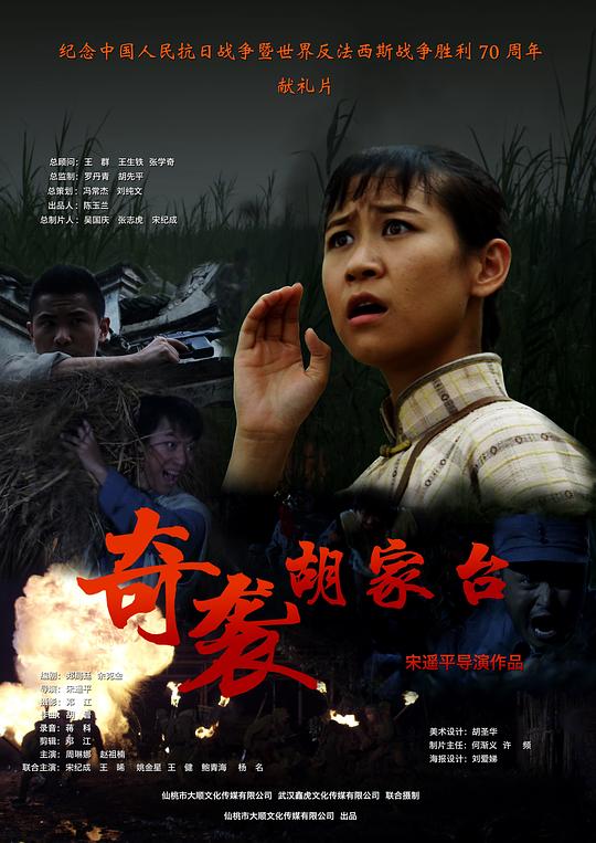 奇袭胡家台 封面
