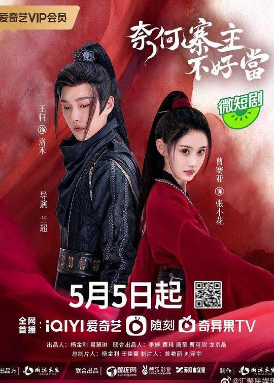 奈何寨主不好当 封面