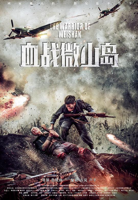血战微山岛 封面