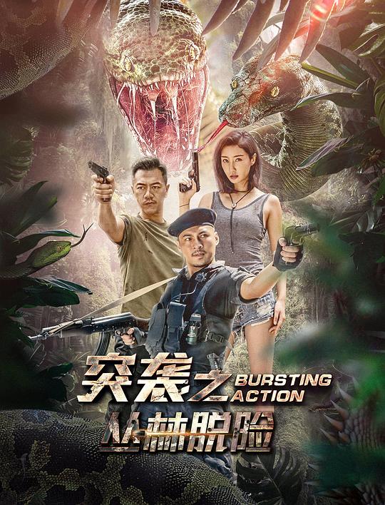 突袭之丛林脱险 封面