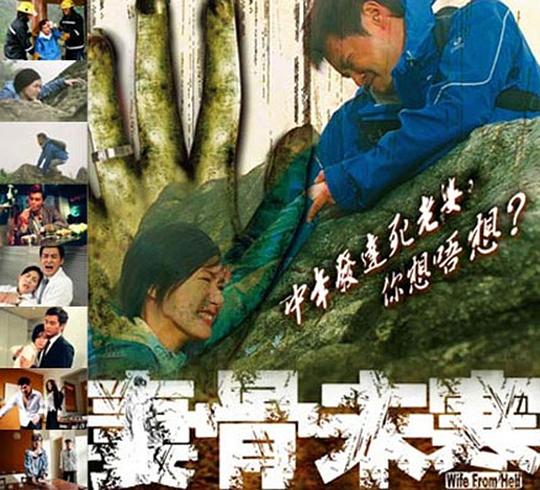 妻骨未寒 封面