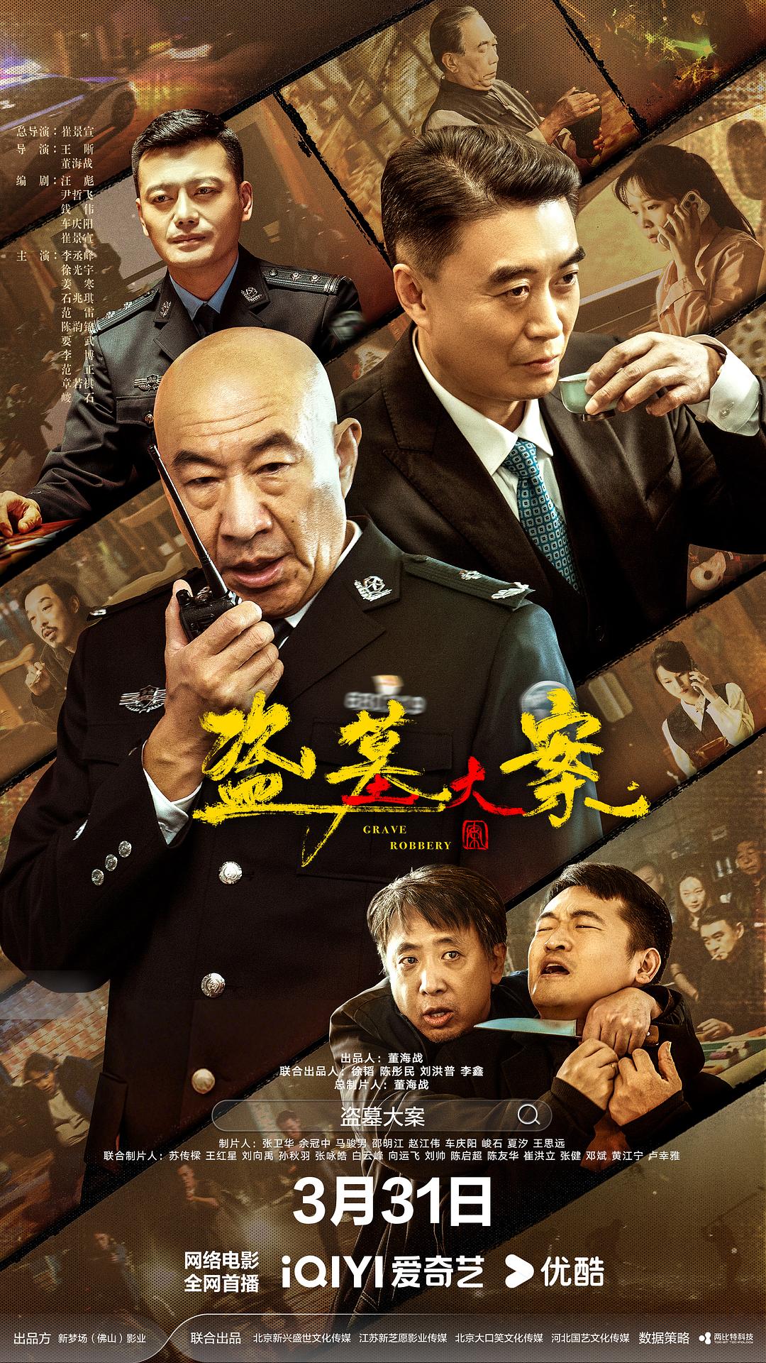 盗墓大案 封面