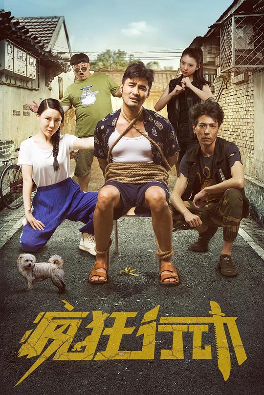 疯狂行动 封面