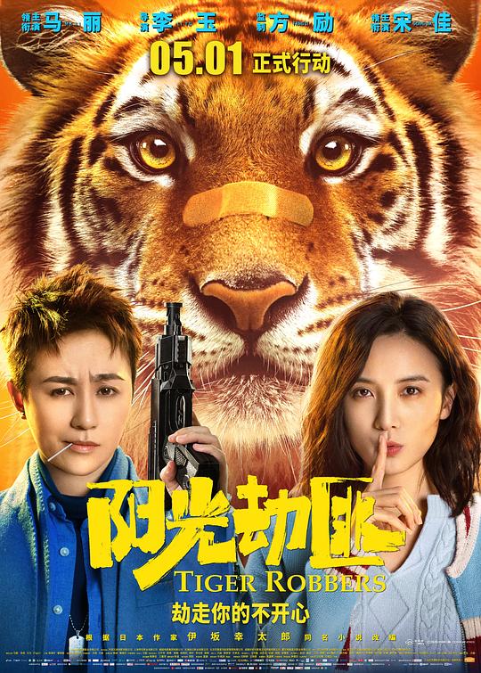 阳光劫匪 封面