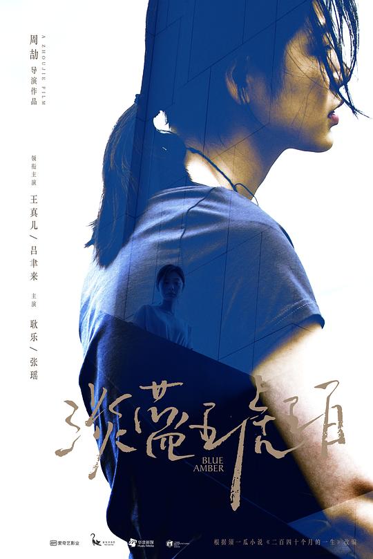 淡蓝琥珀 封面