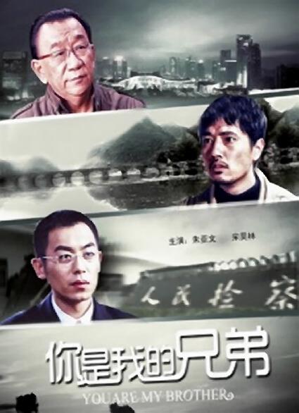 你是我的兄弟 封面