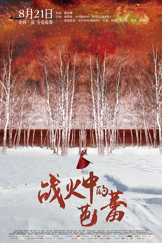 战火中的芭蕾 封面