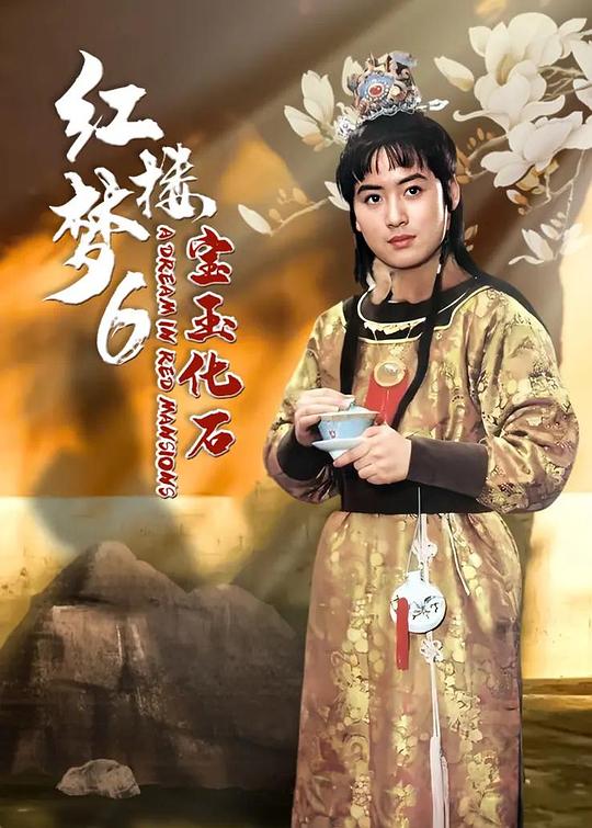 红楼梦第六部：宝玉化石 海报