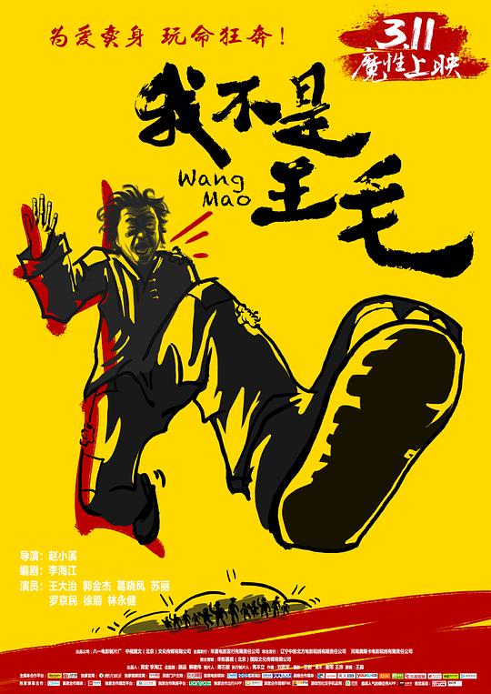 我不是王毛 海报