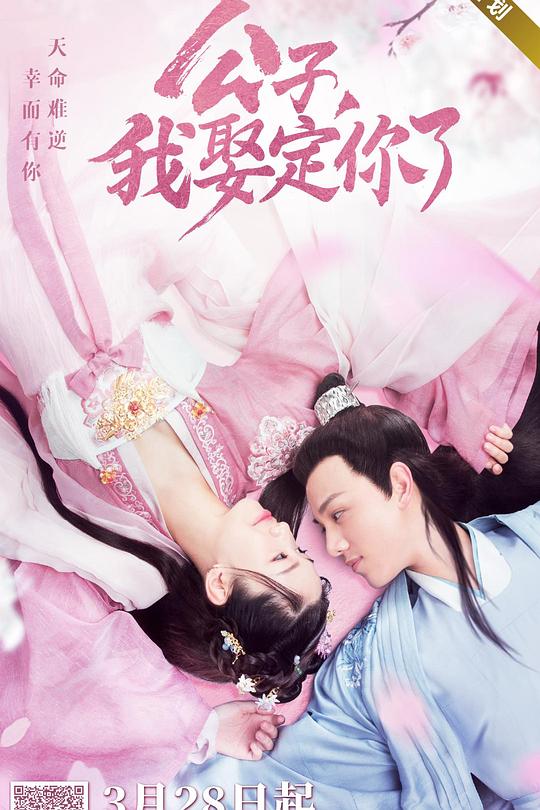 公子，我娶定你了 封面