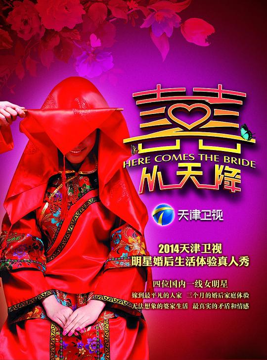 囍从天降 封面
