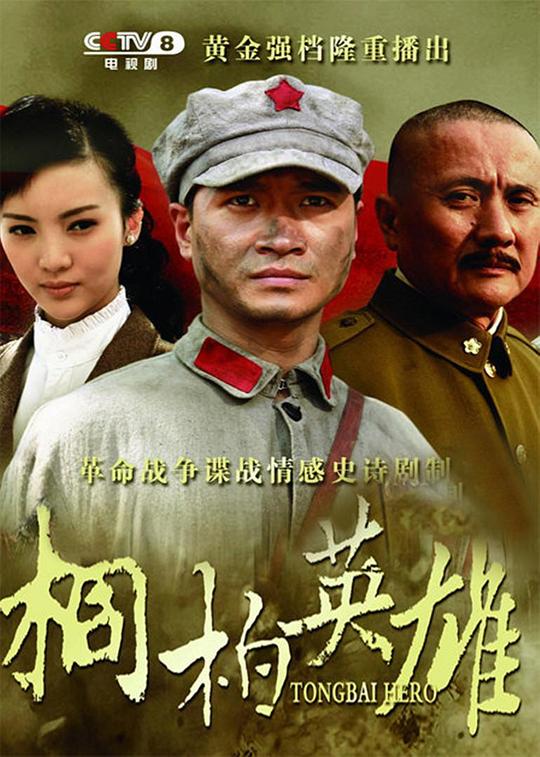 桐柏英雄 封面