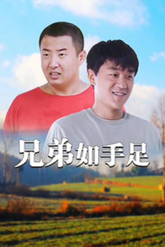 兄弟如手足 封面
