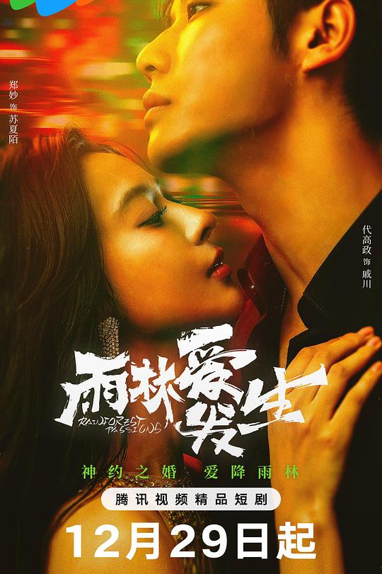 雨林爱发生 封面