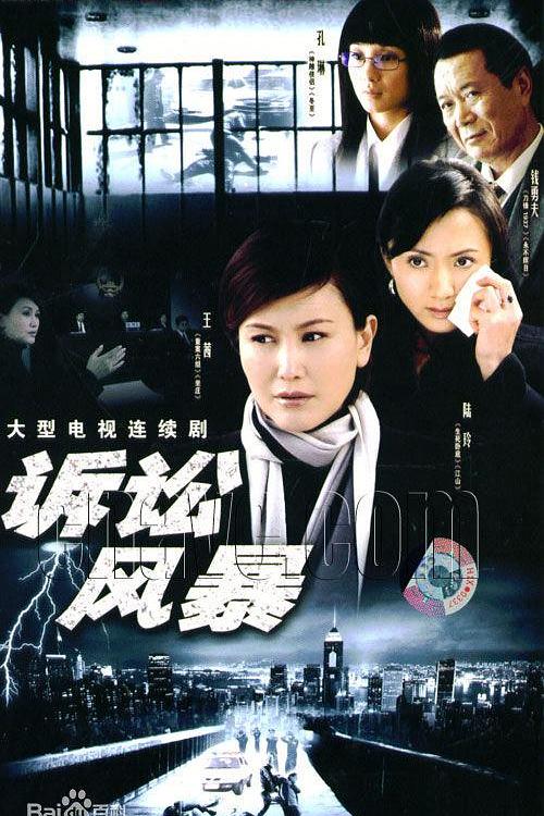 诉讼风暴 封面