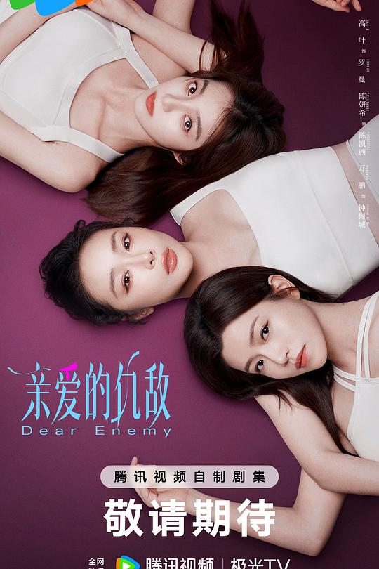亲爱的仇敌 封面