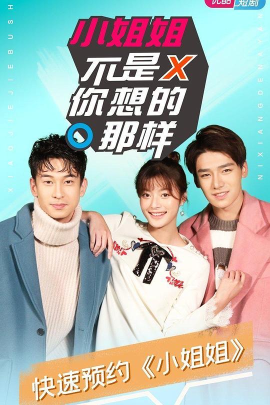 小姐姐不是你想的那样 海报