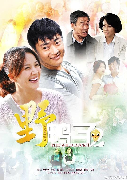 野鸭子2 封面
