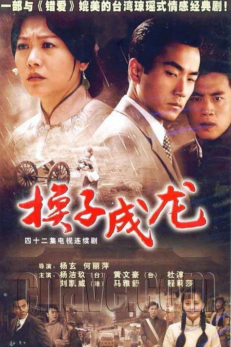 换子成龙 封面