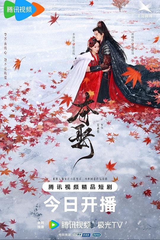 夺娶 封面