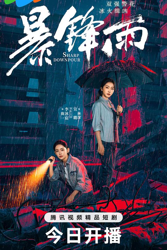暴锋雨 封面