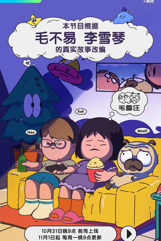 毛雪汪 封面