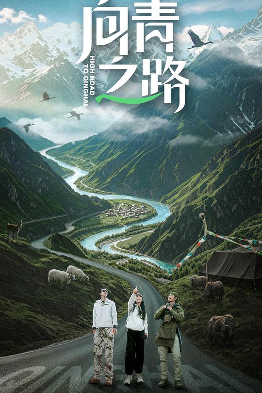 向青之路 封面